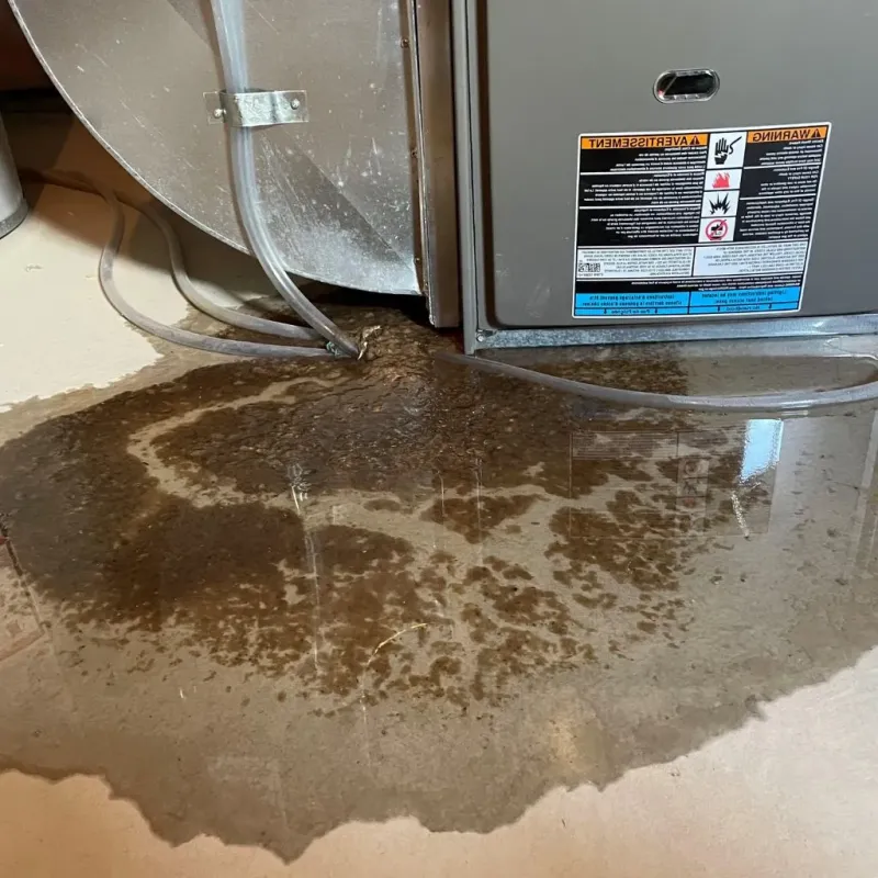 Pipe Burst and Leak Restoration in Conemaugh, PA